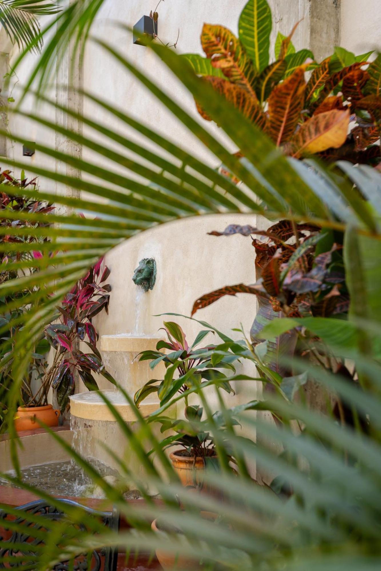El Mambo Boutique Hotel Las Terrenas Luaran gambar